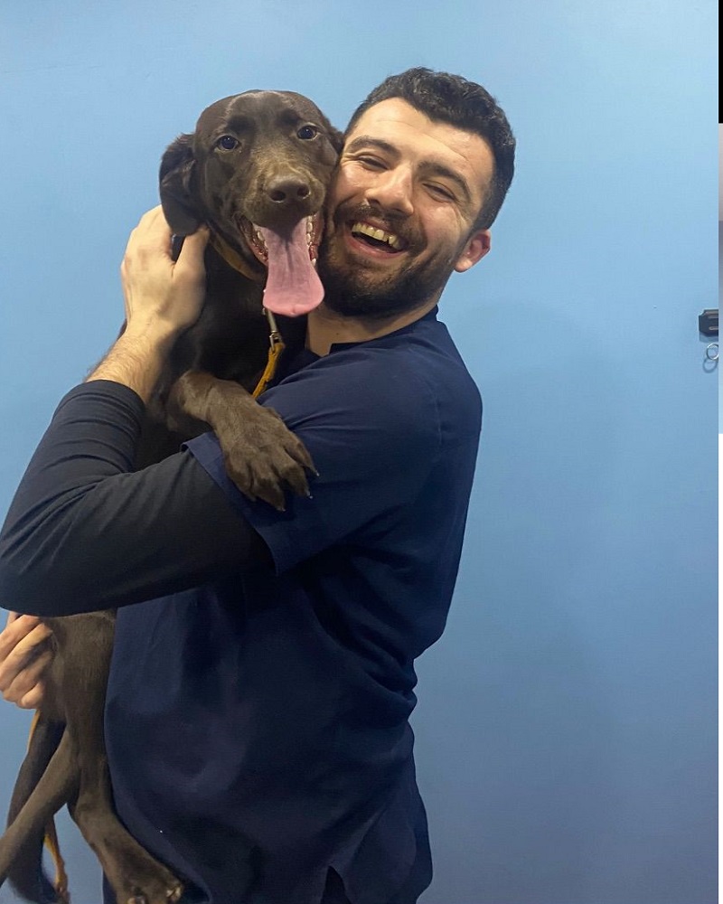 beşiktaş köpek veteriner hekimi