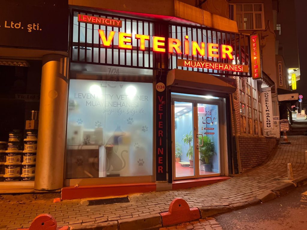 İleri Görüntüleme