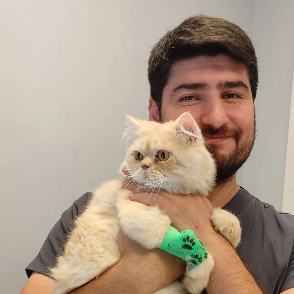 Kısırlaştırma İyi Bir Şey mi ?