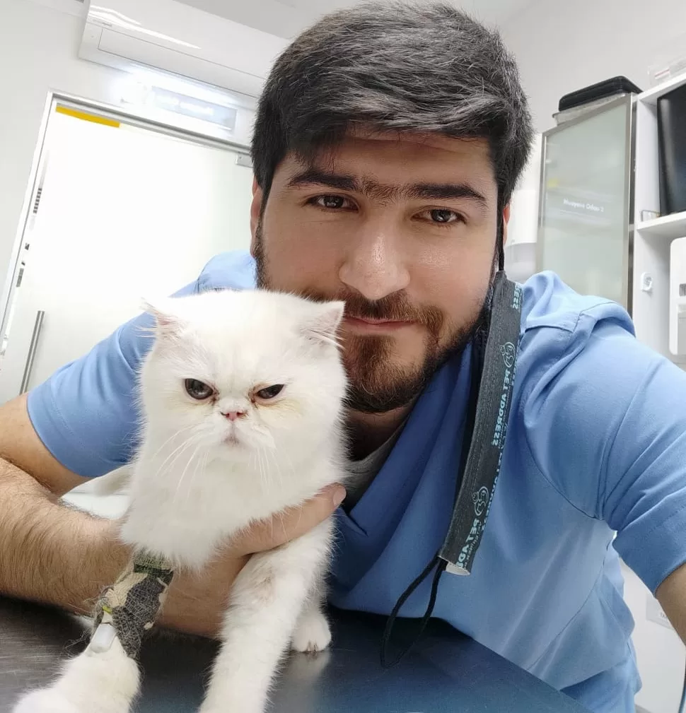Ameliyat Öncesi Kedi Traşı Sterilizasyon Amaçlı Veteriner kliniğimizde yapılmaktadır.
